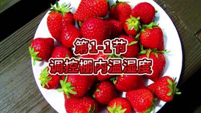 第1-1节-调控棚内温湿度
