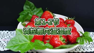 第1-2节-调控棚内温湿度