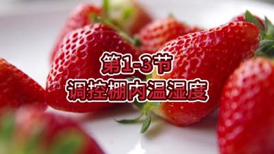 第1-3节-调控棚内温湿度