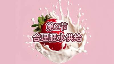 第2节-合理肥水供给