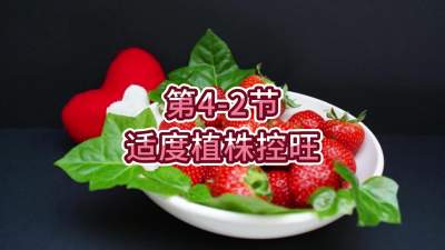 第4-2节-适度植株控旺