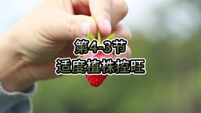 第4-3节-适度植株控旺