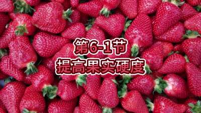 第6-1节-提高果实硬度