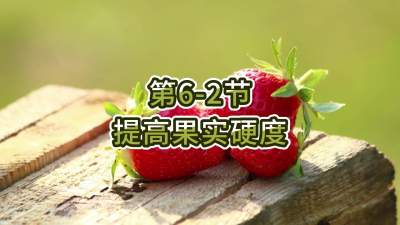 第6-2节-提高果实硬度