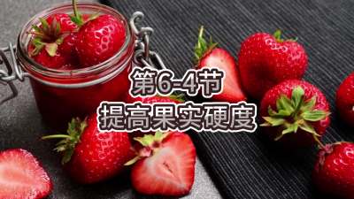 第6-4节-提高果实硬度