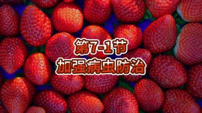 第7-1节-加强病虫防治