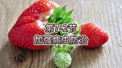 第7-2节-加强病虫防治