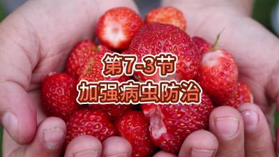 第7-3节-加强病虫防治