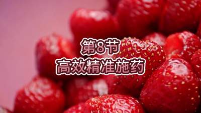 第8节-高效精准施药