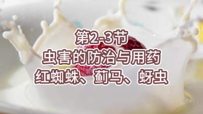 第2-3节-虫害的防治与用药-红蜘蛛、蓟马、蚜虫