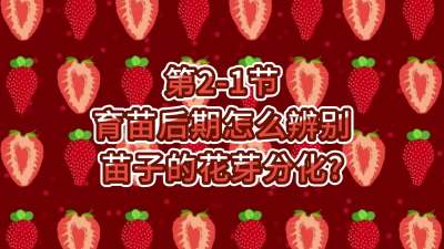 第2-1节-育苗后期怎么辨别苗子的花芽分化？