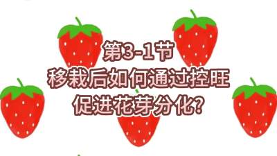 第3-1节-移栽后如何通过控旺促进花芽分化？