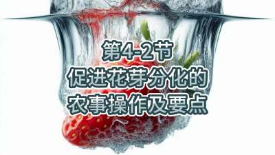 第4-2节-促进花芽分化的农事操作及要点