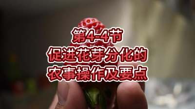 第4-4节-促进花芽分化的农事操作及要点