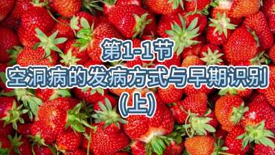 第1-1节-上-空洞病的发病方式与早期识别（上）