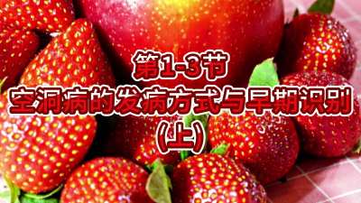 第1-3节-上-空洞病的发病方式与早期识别（上）