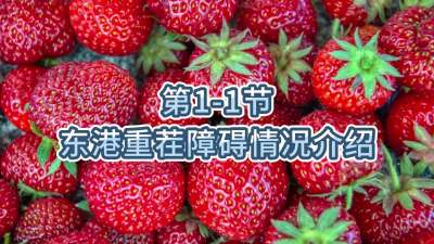 第1-1节-东港重茬障碍情况介绍