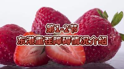 第1-2节-东港重茬障碍情况介绍