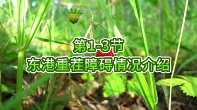 第1-3节-东港重茬障碍情况介绍