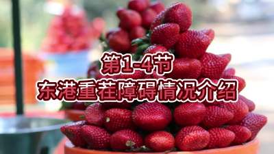 第1-4节-东港重茬障碍情况介绍