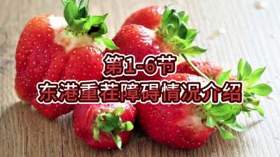 第1-6节-东港重茬障碍情况介绍