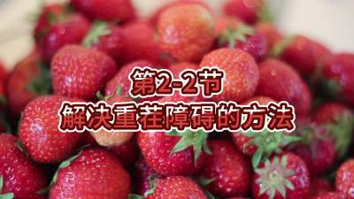 第2-2节-解决重茬障碍的方法