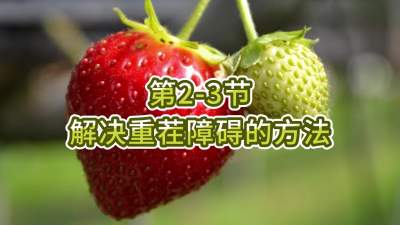 第2-3节-解决重茬障碍的方法