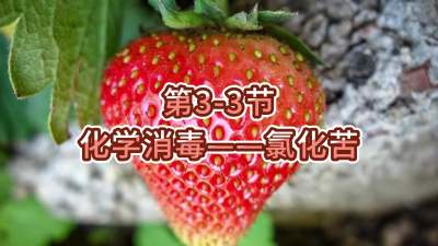 第3-3节-化学消毒&mdash;&mdash;氯化苦