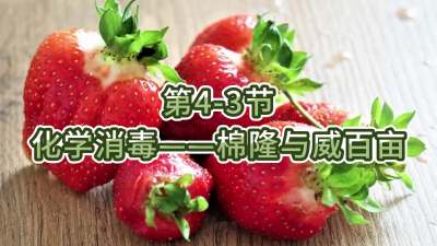 第4-3节-化学消毒&mdash;&mdash;棉隆与威百亩