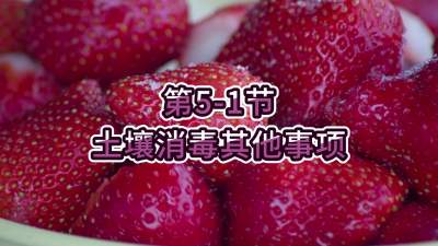 第5-1节-土壤消毒其他事项