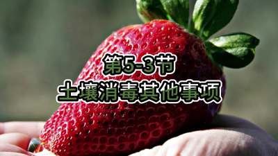 第5-3节-土壤消毒其他事项