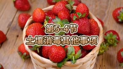 第5-4节-土壤消毒其他事项