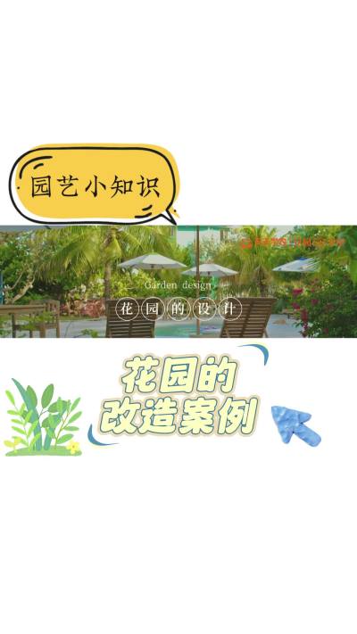 花园的改造案例