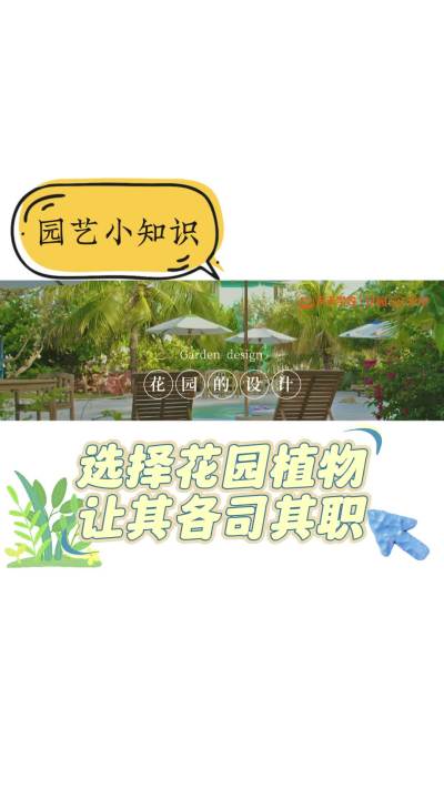 花园层次感的打造&mdash;&mdash;选择花园植物让其各司其职