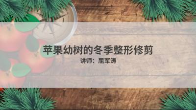 短枝型幼树冬季整形修剪的原则与操作