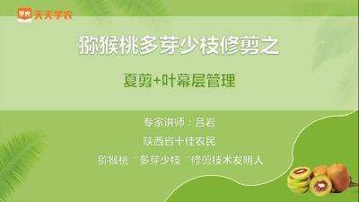 结果枝：抠芽控长