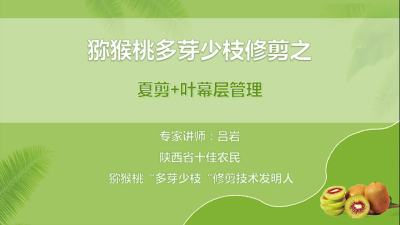 更新枝：半行捏尖