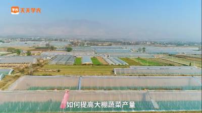 四步控旺，轻松促花果