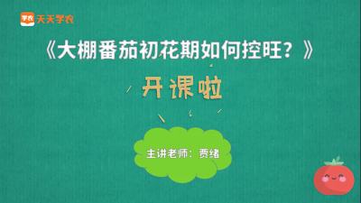 控旺药怎么打最合适？