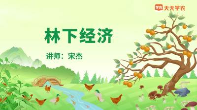 赤松茸的栽培管理（下）