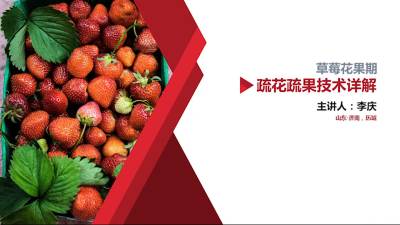 草莓疏花疏果的重要性
