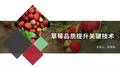 水肥温光的提质要点