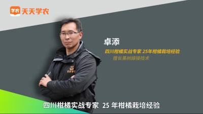 修剪的原则及效果