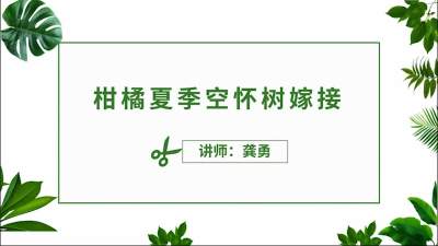 精彩节选