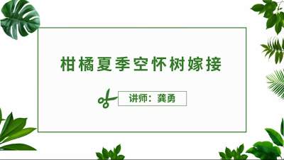 嫁接实操及注意事项