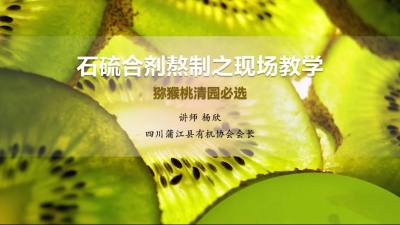 怎样调出比例精确的石硫合剂？