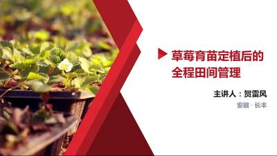 育苗期间的&ldquo;虫害&rdquo;管理（地下、蚜虫、螨虫、夜蛾）