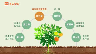 炭疽病高发，在哪步可以有效控制？