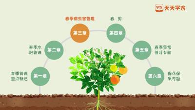 谨防疮痂病，提前预防是关键！