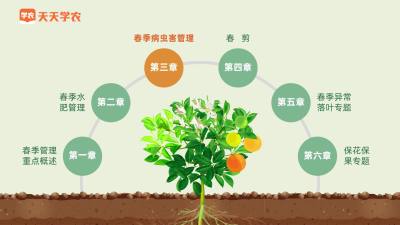 红蜘蛛真难缠，怎样把它祖宗十八代干掉？